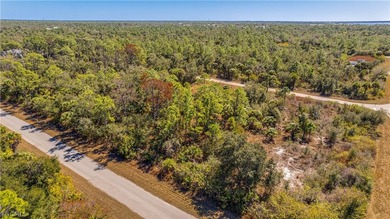 Build your dream home on this single-family residential lot - photo 8