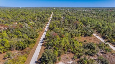 Build your dream home on this single-family residential lot - photo 10