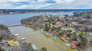 WATERFRONT HOME IN GUNTERSVILLE, AL CITY LIMITS!! Photos can't - photo 48