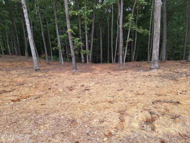 Lake Lot For Sale in Loudon, Tennessee