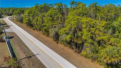 Build your dream home on this single-family residential lot - photo 2
