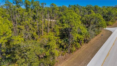 Build your dream home on this single-family residential lot - photo 3