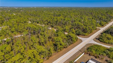 Build your dream home on this single-family residential lot - photo 4