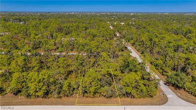 Build your dream home on this single-family residential lot - photo 5