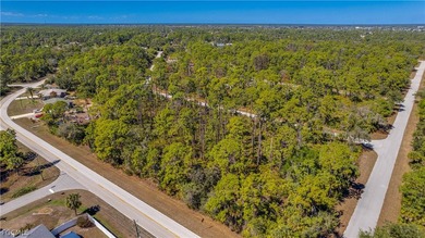 Build your dream home on this single-family residential lot - photo 8