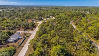 Build your dream home on this single-family residential lot - photo 10