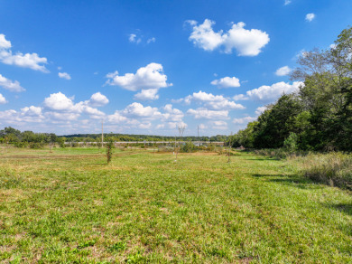 Collins Missouri Home For Sale - photo 18