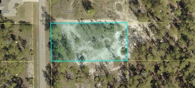 Lehigh Acres Area Lot Sale Pending in Lehigh Acres Florida
