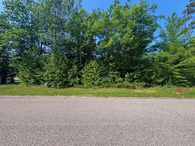 Private wooded lot in the Presque Isle Harbor association with - photo 11