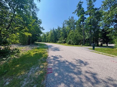 Private wooded lot in the Presque Isle Harbor association with - photo 12