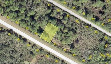 Port Charlotte Waterway Area Lot For Sale in Port Charlotte Florida