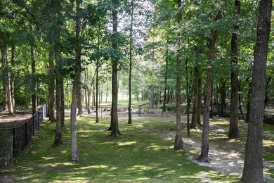 Lakeside Luxury Awaits. Nestled on a serene, professionally - photo 35