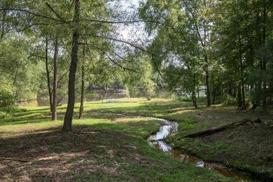 Lakeside Luxury Awaits. Nestled on a serene, professionally - photo 37