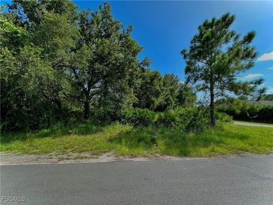 Lehigh Acres Area Lot For Sale in Lehigh Acres Florida