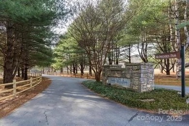 Lake Lure Lot For Sale in Lake Lure North Carolina