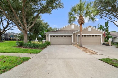 Lake Home For Sale in Lithia, Florida