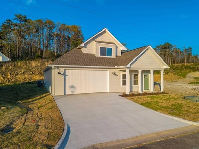 Stunning New Construction in Lakeside School District - Gated - photo 3