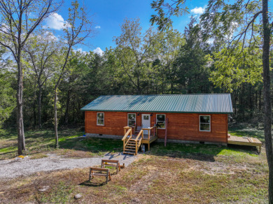 Collins Missouri Home For Sale - photo 21