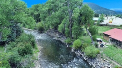  Home For Sale in South Fork Colorado