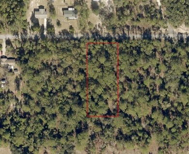 Bonable Lake Lot For Sale in Dunnellon Florida