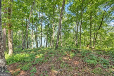 Move-In Ready Lake-View Retreat on Two Private Lots in Turtle - photo 46