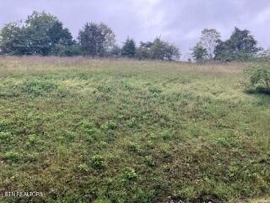 Lake Lot For Sale in New Tazewell, Tennessee