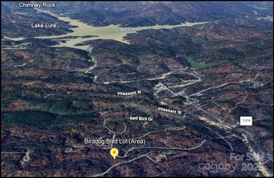 Lake Lure Lot For Sale in Lake Lure North Carolina