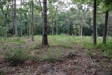 Lake Marion Lot For Sale in Eutawville South Carolina