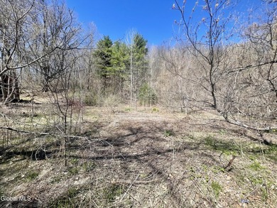 1.4 acres with a brook, public water, and sewer on the property - photo 1
