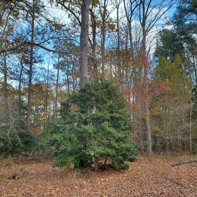Two private lots (1.16 acres) overlooking small creek in the