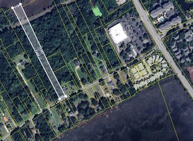 3.4 AC so close to Folly Beach; imagine the possibilities! - photo 1