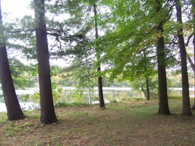 Lake Lot For Sale in Lena, Wisconsin