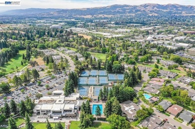 Contemporary Living on the Fairway at Crow Canyon Country Club! - photo 50