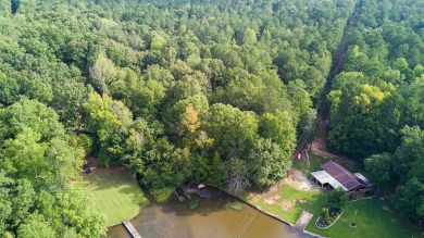 Lake Harding Lot For Sale in Valley Alabama