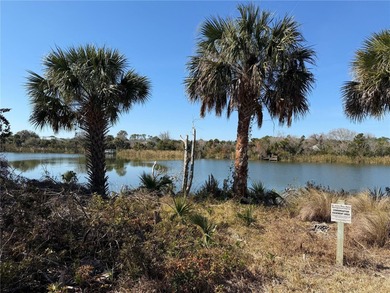 74 Heron Drive offers the perfect opportunity for you to build - photo 7