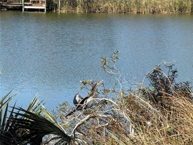 74 Heron Drive offers the perfect opportunity for you to build - photo 8