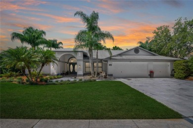 Lake Home For Sale in Tarpon Springs, Florida
