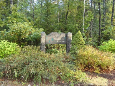 Lake Winnipesaukee Lot For Sale in Tuftonboro New Hampshire