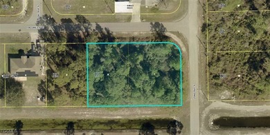 Lehigh Acres Area Lot For Sale in Lehigh Acres Florida
