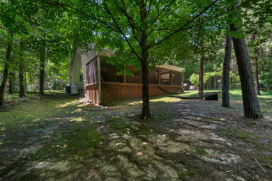 Poplar Ridge Home with Dock! - photo 5