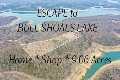 Bull Shoals Lake Home For Sale in Theodosia Missouri