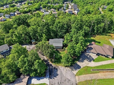 Welcome home to 256 Cedarwood Drive, a remarkable Sevierville - photo 44