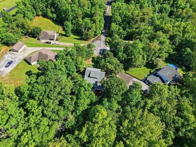Welcome home to 256 Cedarwood Drive, a remarkable Sevierville - photo 47