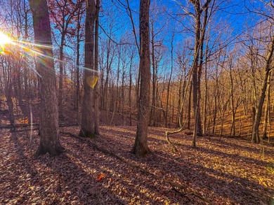 Lake Acreage For Sale in Waverly, West Virginia