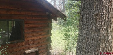  Home For Sale in Creede Colorado