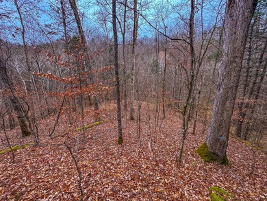 Lake Acreage For Sale in Macfarlan, West Virginia