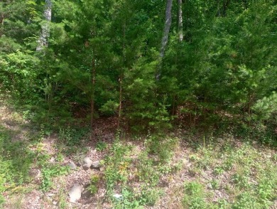 Lake Acreage For Sale in Ellijay, Georgia