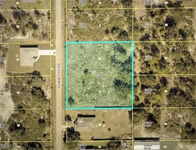 Lehigh Acres Area Lot For Sale in Lehigh Acres Florida