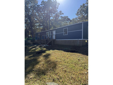 Lake Home For Sale in Flint, Texas