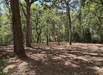 Set high within the coveted Hideaway Lake community, this - photo 1